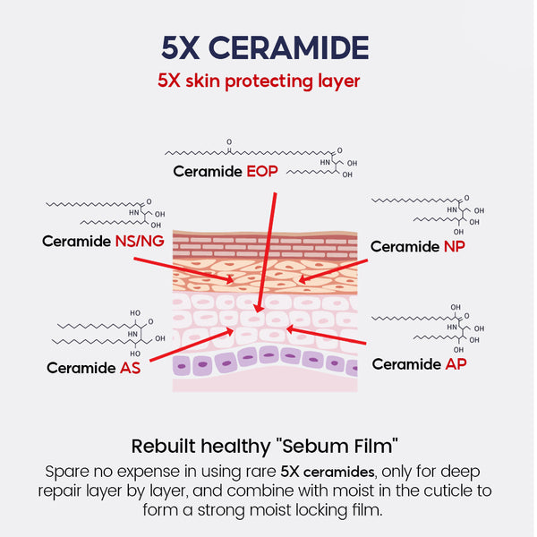 Vibrant Glamour 2% NIACINAMIDE+5X Ceramide +α-Arbutin Essence Toner